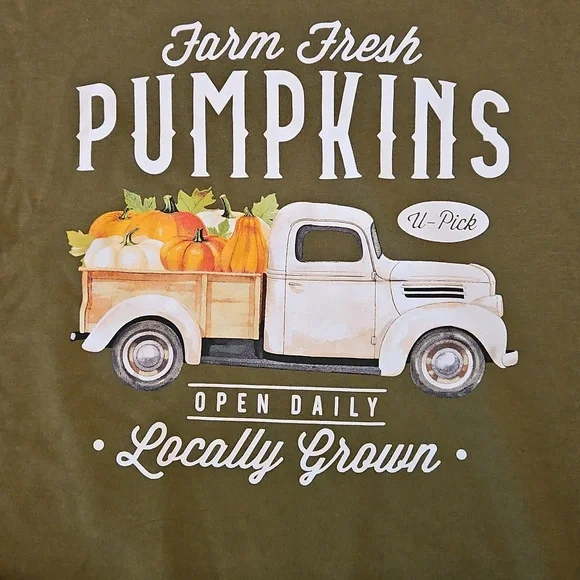 2 DAYS LEFT LAST CHANCE EUC LIKE NEW Womens' Plus Pumpkin Sweatshirt Sz.XXL (20) - Picture 3 of 8